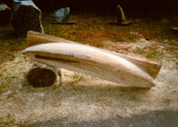 Seminar mit der Kettensäge