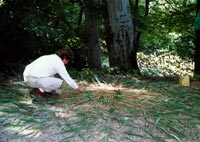 Landart Workshops